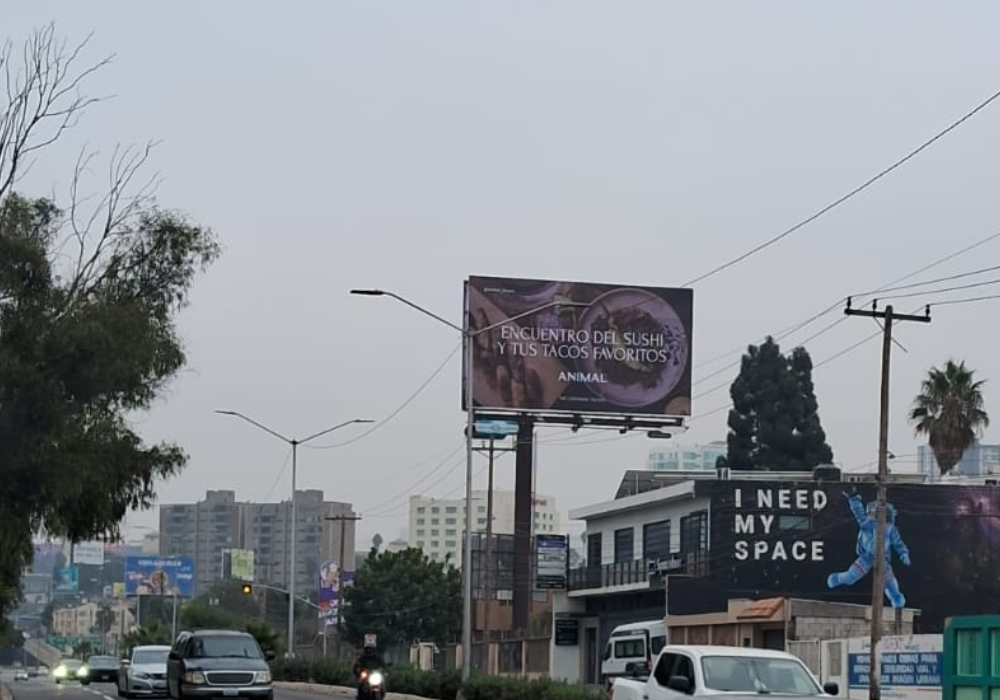 Paseo de Los Héroes, Tijuana